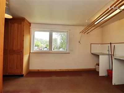 Picture 24